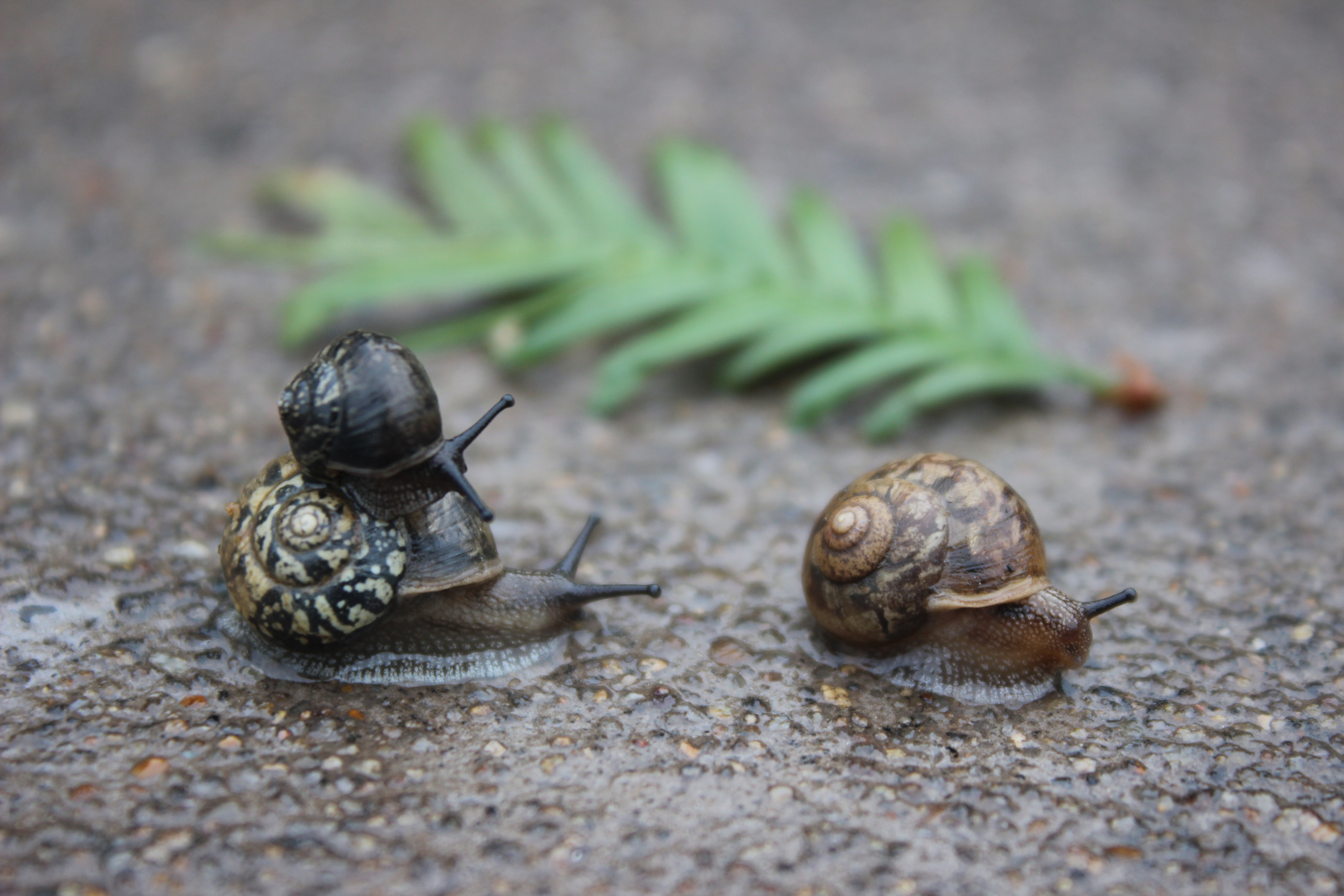 【攝影】爸爸，去哪？